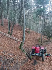 Brennholz Brennholz Fichte, Kiefer, Tanne