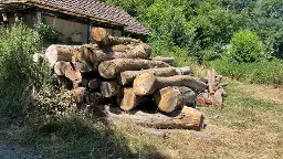 Rundholz Buche Esche Lindenfels