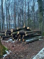 Rundholz Eiche Faserholz Sankt Martin im Sulmtal
