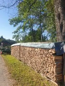 Brennholz Brennholz Buche Kann in alle Längen geschnitten werden