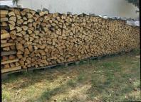 Brennholz Fichte Ybbs an der Donau