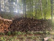 Brennholz Pappel