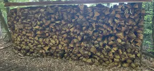 Brennholz Eiche, Buche Ca 15m Eiche und 3m Buche St. Anna am Aigen