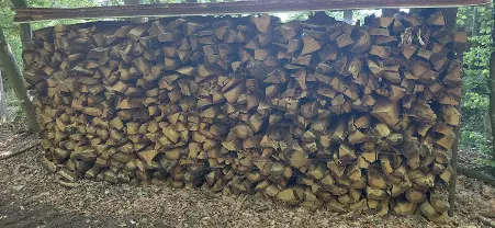 Brennholz Brennholz Eiche, Buche Ca 15m Eiche und 3m Buche