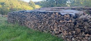 Brennholz Buche