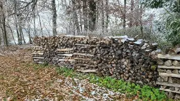 Brennholz Brennholz Esche, Eiche, Buche