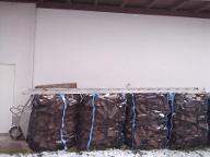 Brennholz Esche, Ahorn, Erle Ernte Jänner 2024, in BigBag a' 1,2SRM