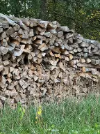 Brennholz Fichte, Esche, Pappel Weibern