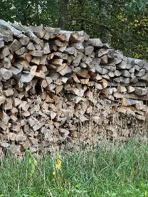 Brennholz Brennholz Fichte, Esche, Pappel