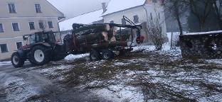 Rundholz Rundholz Sonstiges Holz Weidenstämme