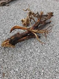 Holzprodukte Urige Wurzeln