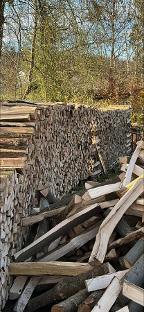 Brennholz Esche, Eiche, Buche