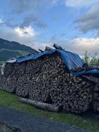 Brennholz Buche