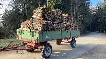 Brennholz Brennholz Fichte