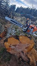 Rundholz Birne Hirschbirne rustikal